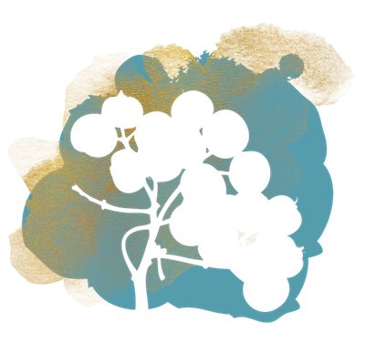 Items From Previous Rowan Berry Boxes - Under the Rowan Trees