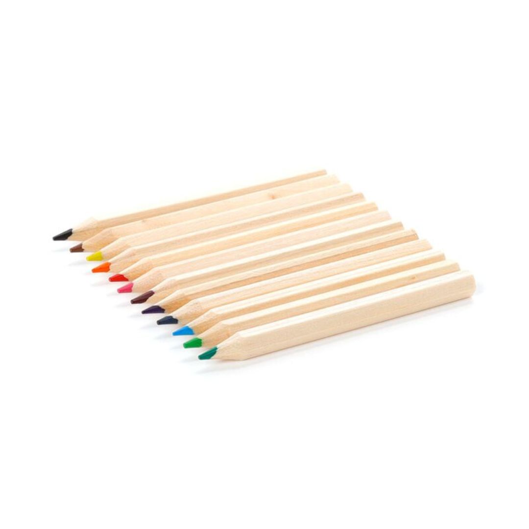 Moomin Tammi Pencil Pot with 12 Colouring Pencils