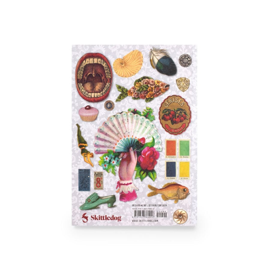 Curious Collections Sticker Book - Skittledog