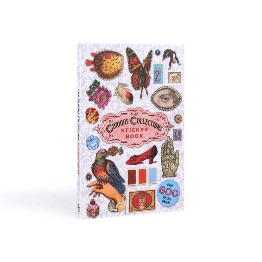 Curious Collections Sticker Book - Skittledog