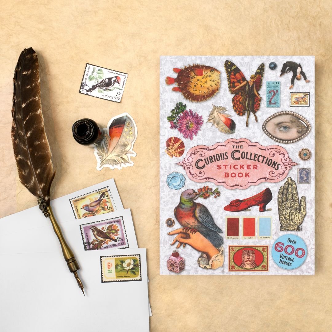 Curious Collections Sticker Book - Skittledog