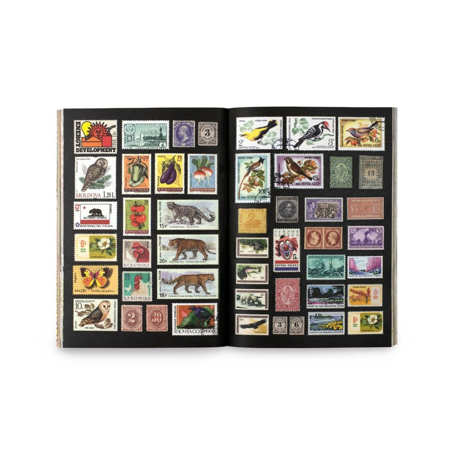 Curious Collections Sticker Book - Skittledog