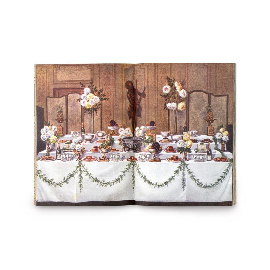 Curious Collections Sticker Book - Skittledog
