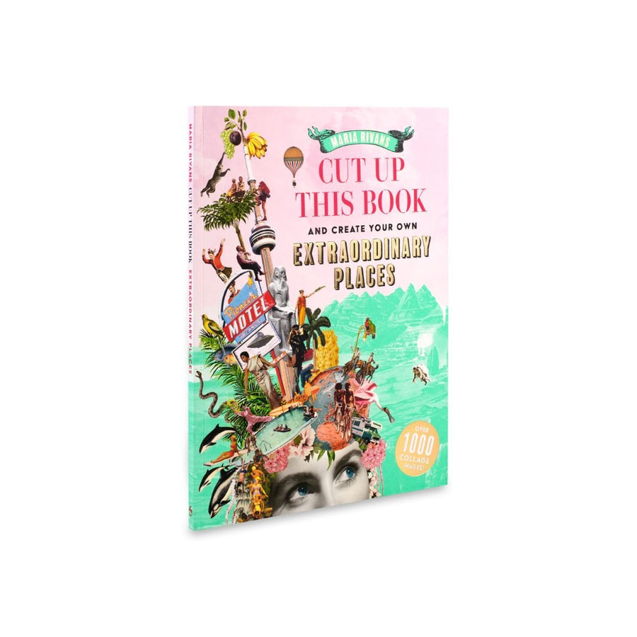 Cut up This Book and Make Your Own Extraordinary Places - Skittledog