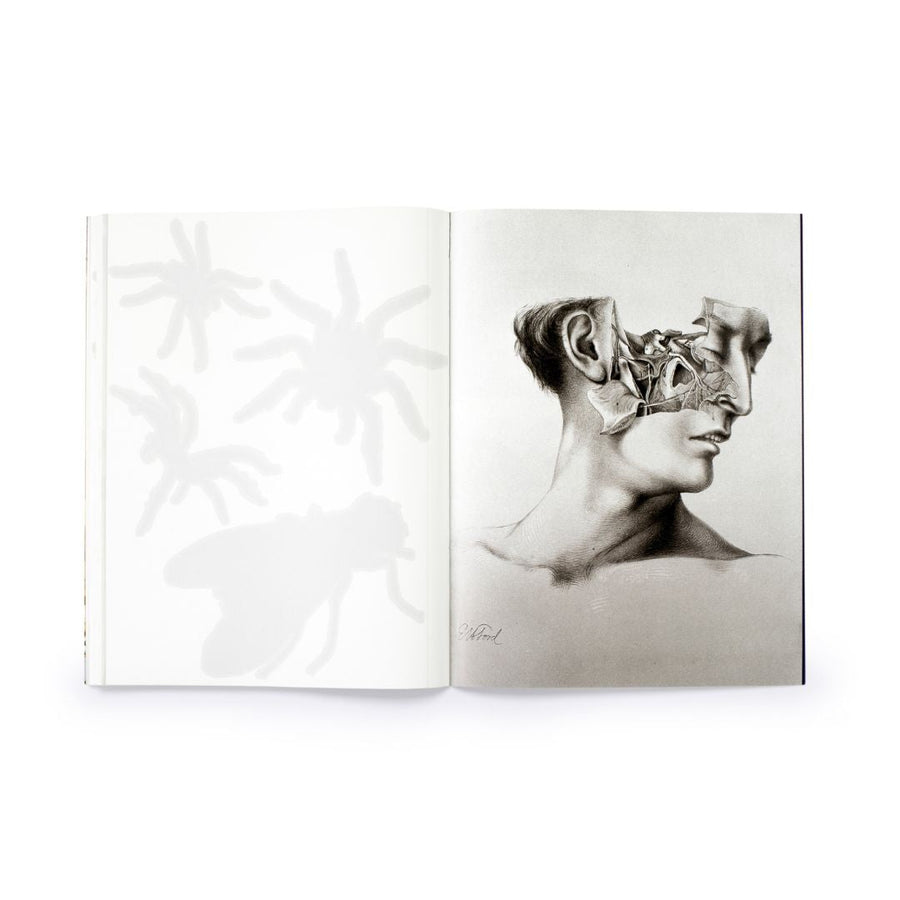 Cut up This Book and Make Your Own Underworld - Skittledog