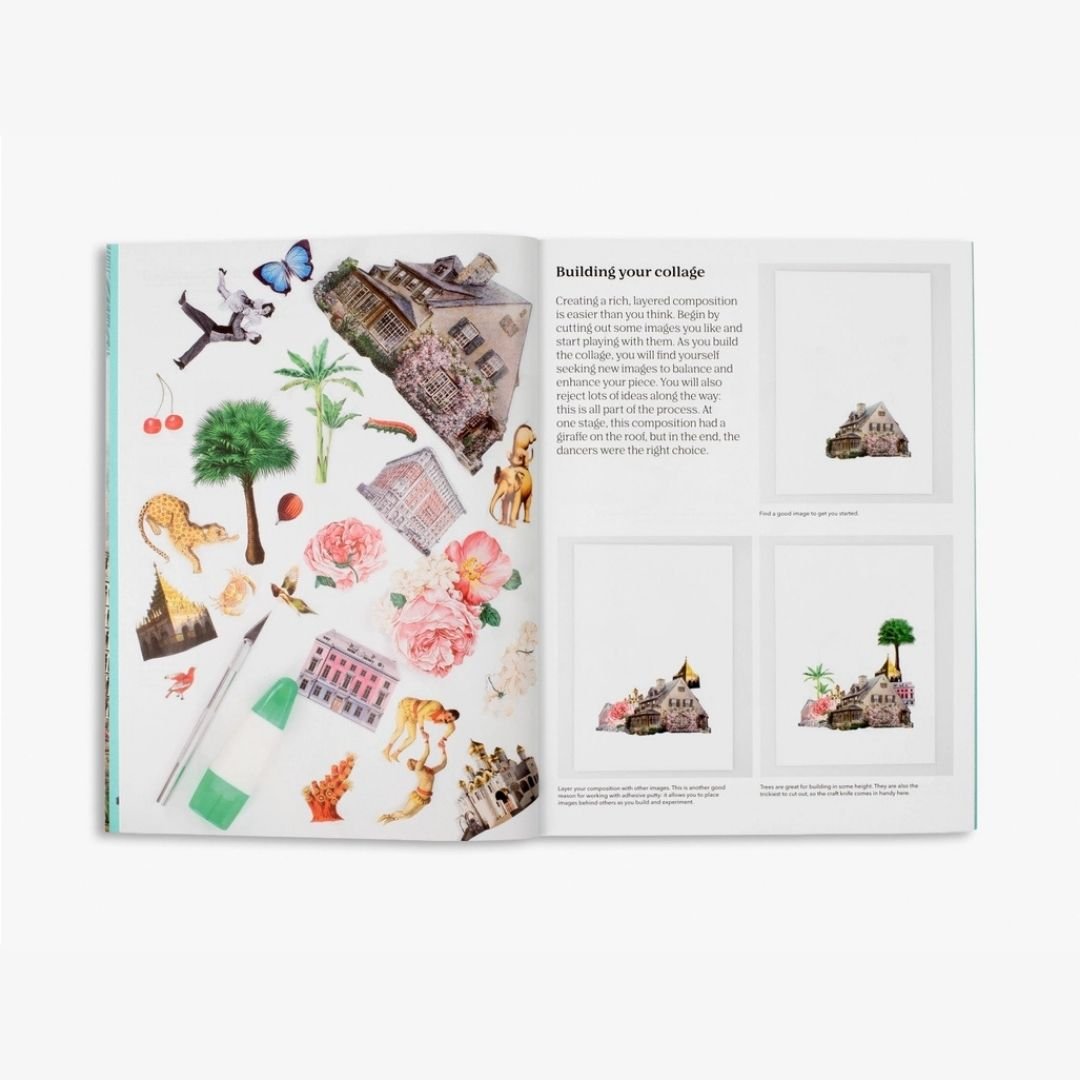 Cut up This Book and Make Your Own Wonderland - Skittledog