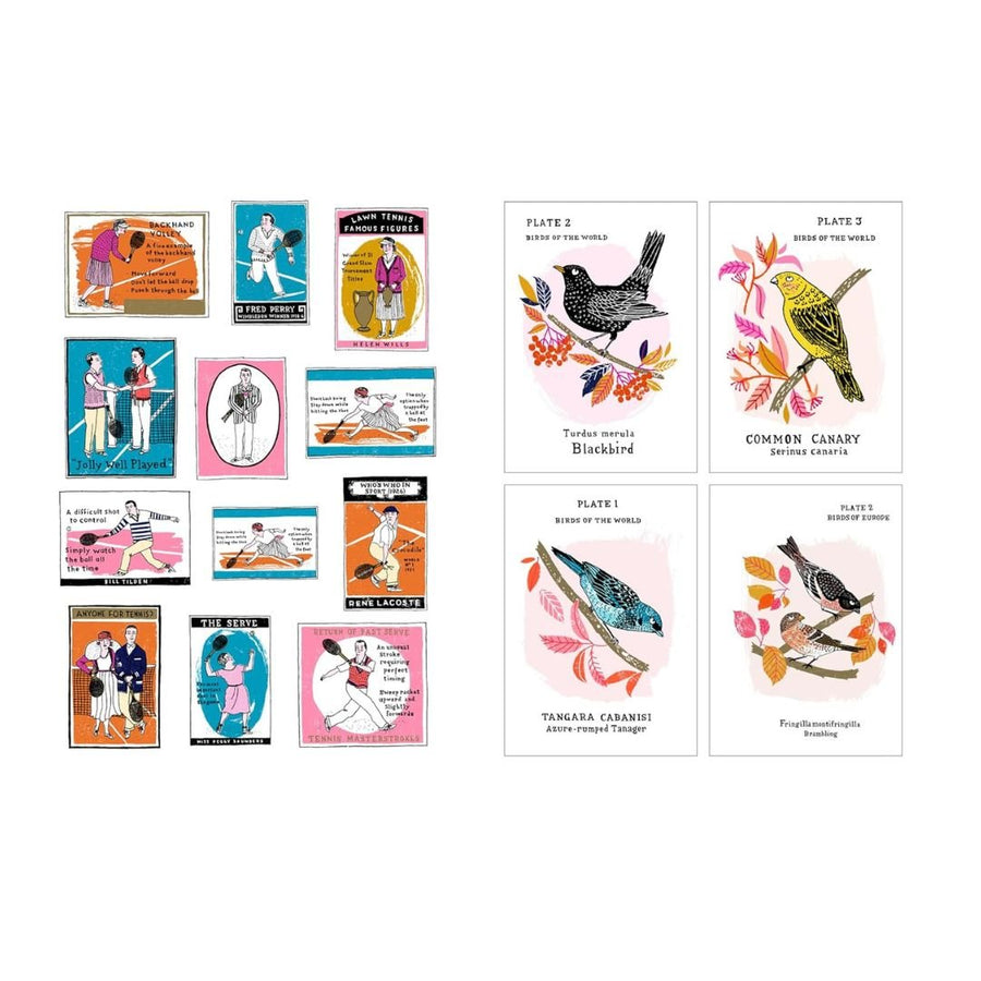 Grumpy Cats And Other Stuff - A Little Sticker Book - Charlotte Farmer - Skittledog