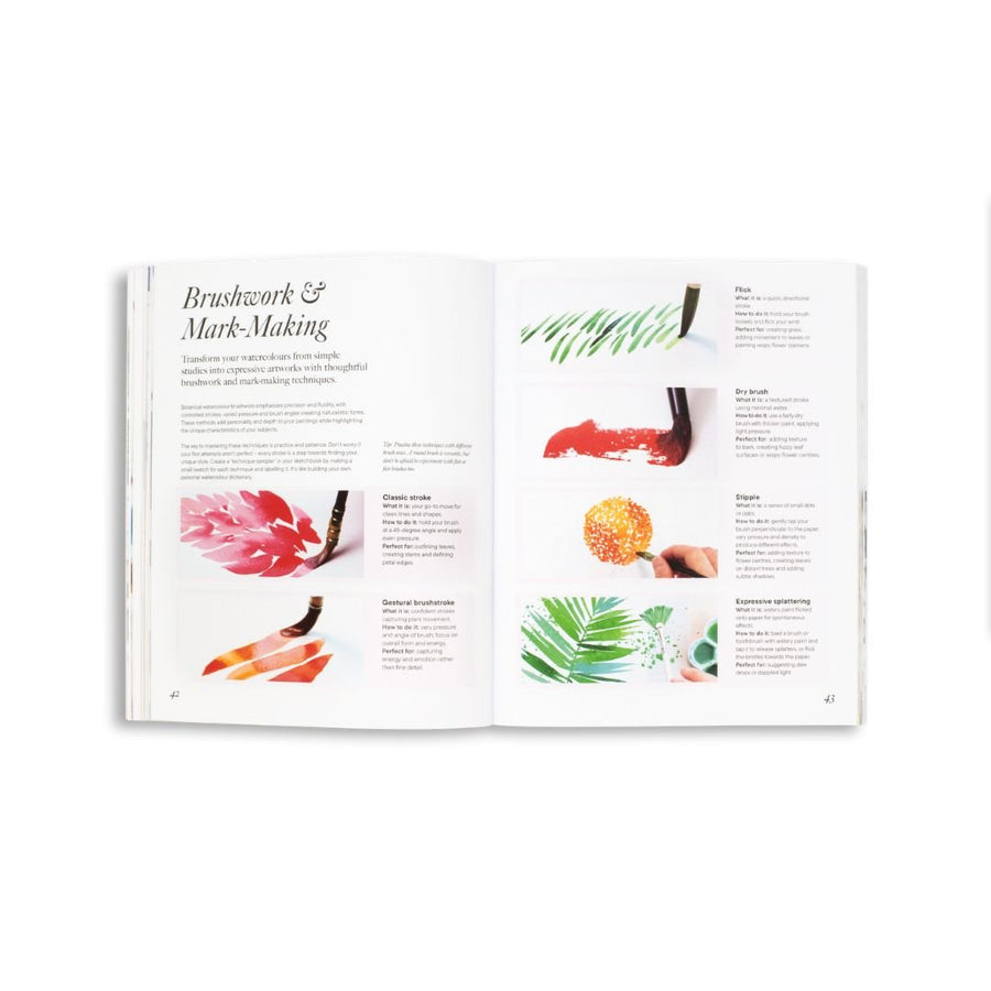 Modern Botanical Watercolour Painting - Skittledog