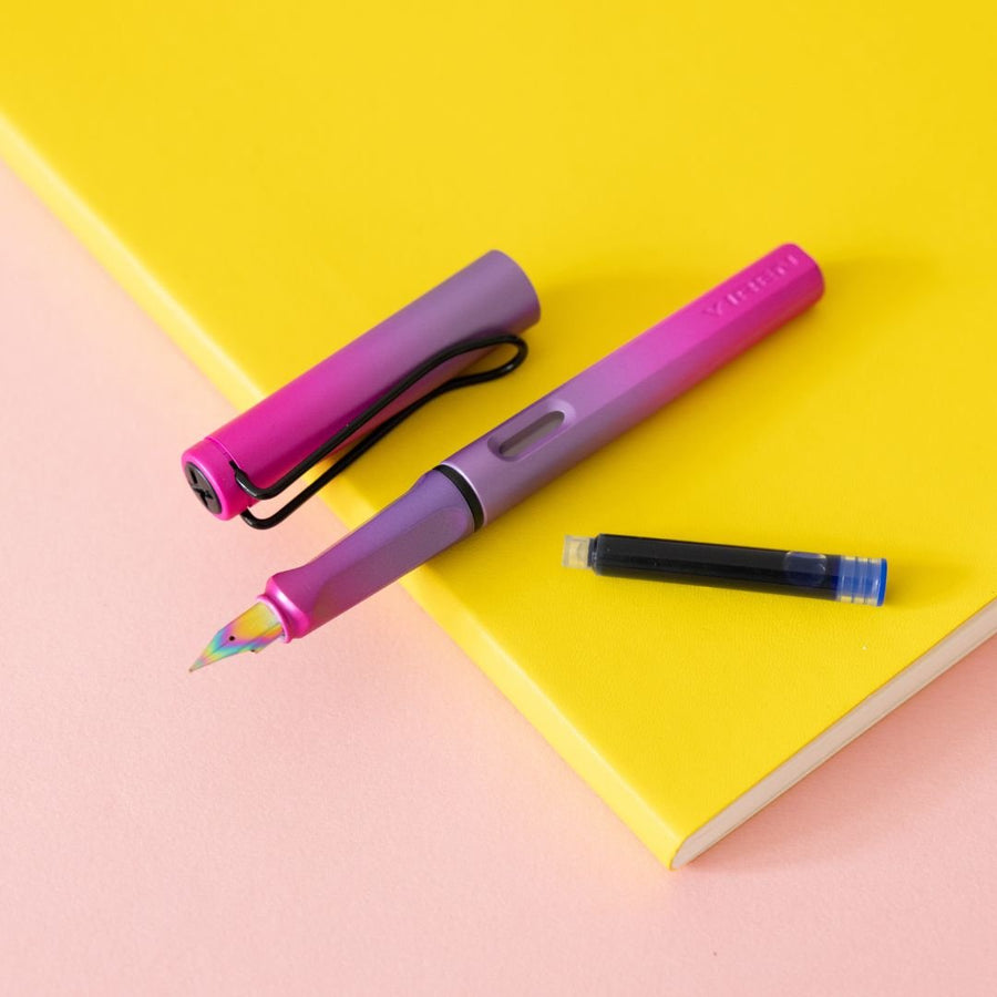 Ombre Fountain Pens EF nib and Converter - Pink Purple - Under the Rowan Trees