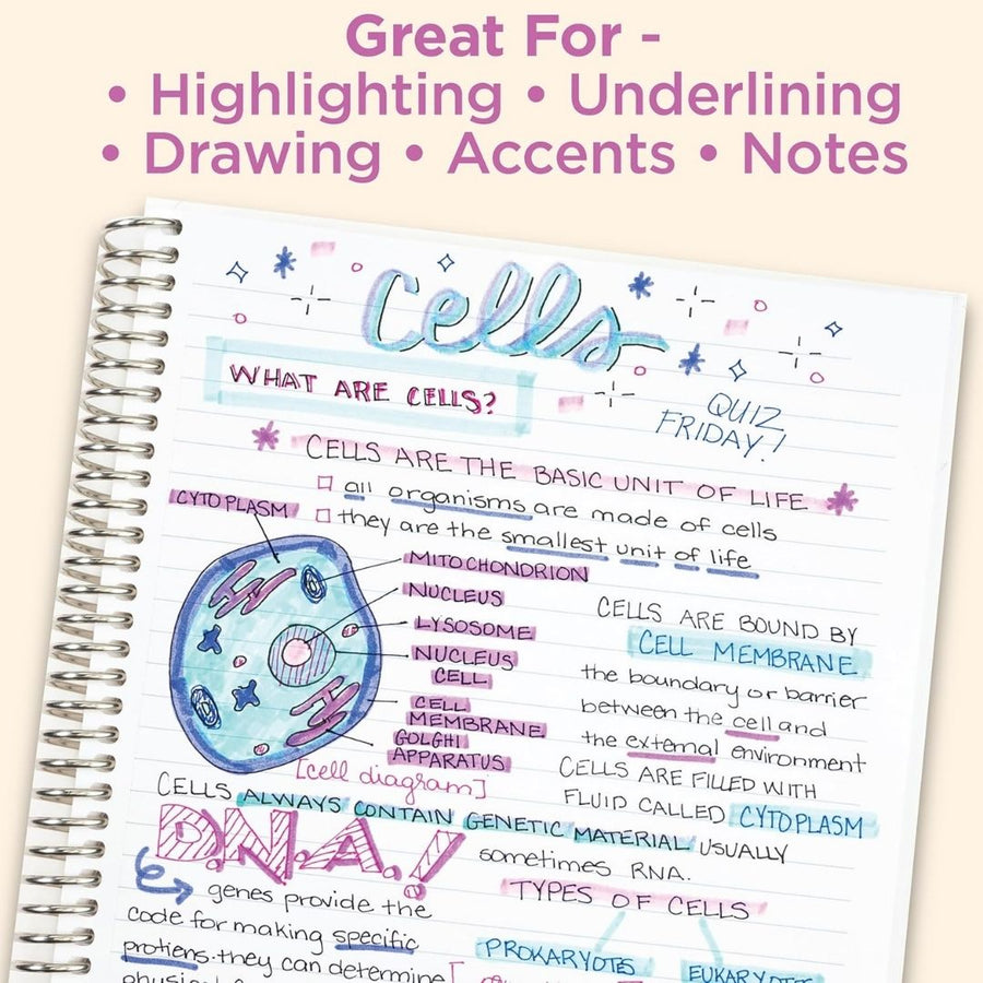 Zebra Mildliner Gentle and Neutral Set 10 Pack - Zebra