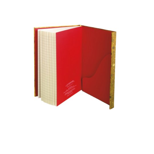 Aimee Stewart: Treasure Hunt Foiled Journal - Flame Tree - Under the Rowan Trees